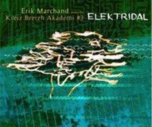 Elektridal